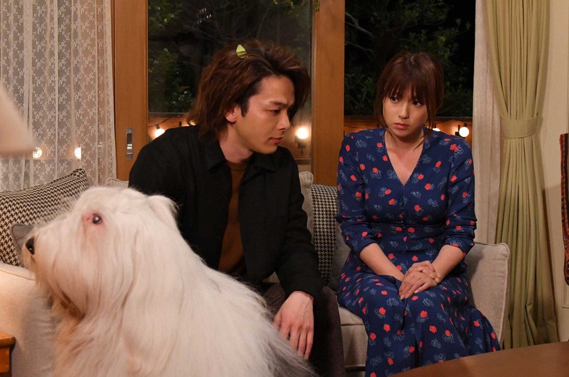 横浜流星の 引き寄せハグ 葉っぱまみれ 中村倫也に 全部持ってかれた 初めて恋をした日に読む話 第7話 2枚目の写真 画像 Cinemacafe Net