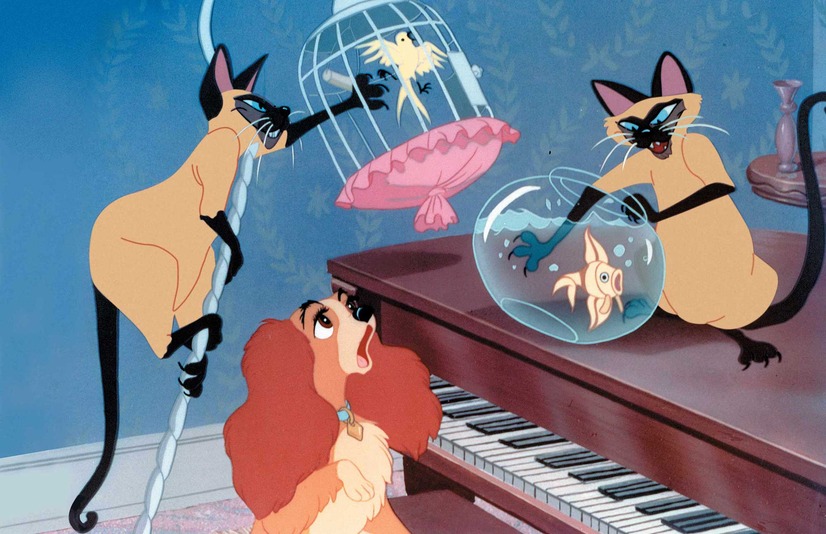 実写版『わんわん物語』の予告編が公開 あの名シーンも登場 6枚目の写真・画像