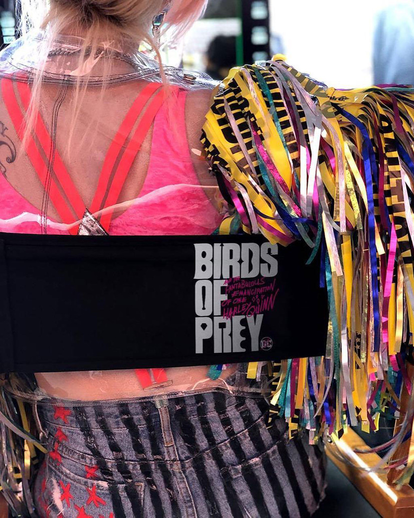 ハーレイ クインの華麗なる覚醒 Birds Of Prey 華麗なキャラクター達を紹介 2 4