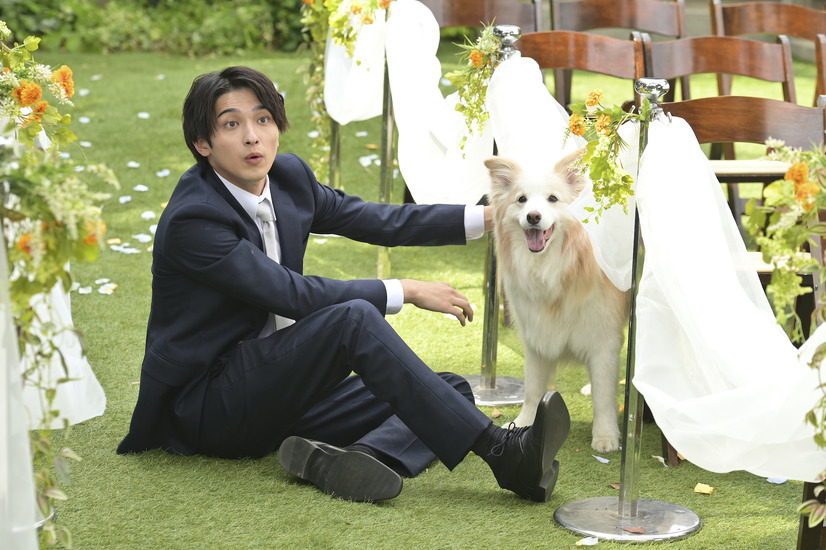 川口春奈 くるみ の着飾る理由に 素敵すぎる の声続出 丸山隆平 陽人 の言葉には 最高のメッセージ 着飾る恋 最終回 8枚目の写真 画像 Cinemacafe Net