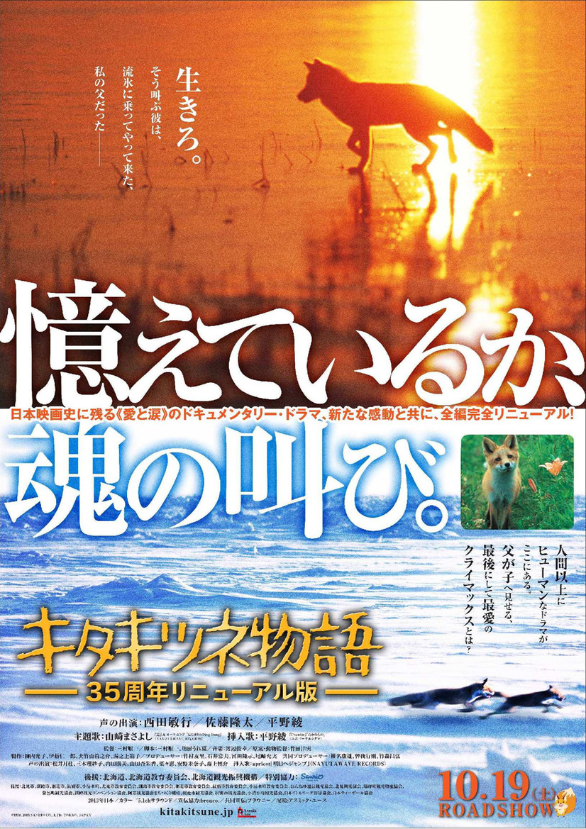 山崎まさよし 動物映画祭 でが新 キタキツネ物語 主題歌を披露 6枚目の写真 画像 Cinemacafe Net