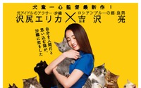 “猫”吉沢亮、沢尻エリカの傍でずっと見守るも涙『猫は抱くもの』特報 画像