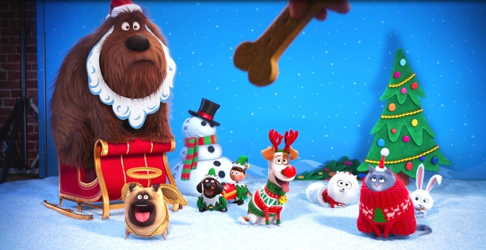 特別映像 ミニオンズ スタッフが贈る ペット 爆笑クリスマス撮影の様子が明らかに Cinemacafe Net