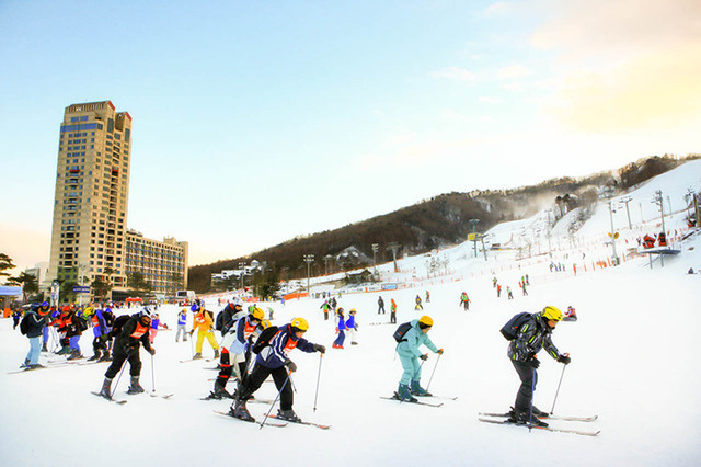韓国でスキー スノボ天国を堪能 江原道地域 Cinemacafe Net