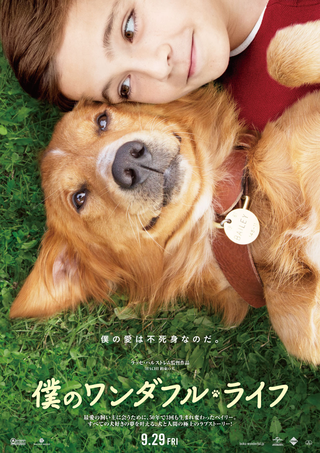 3度も生まれ変わった 犬と少年のラブストーリー 僕のワンダフル ライフ 公開へ Cinemacafe Net