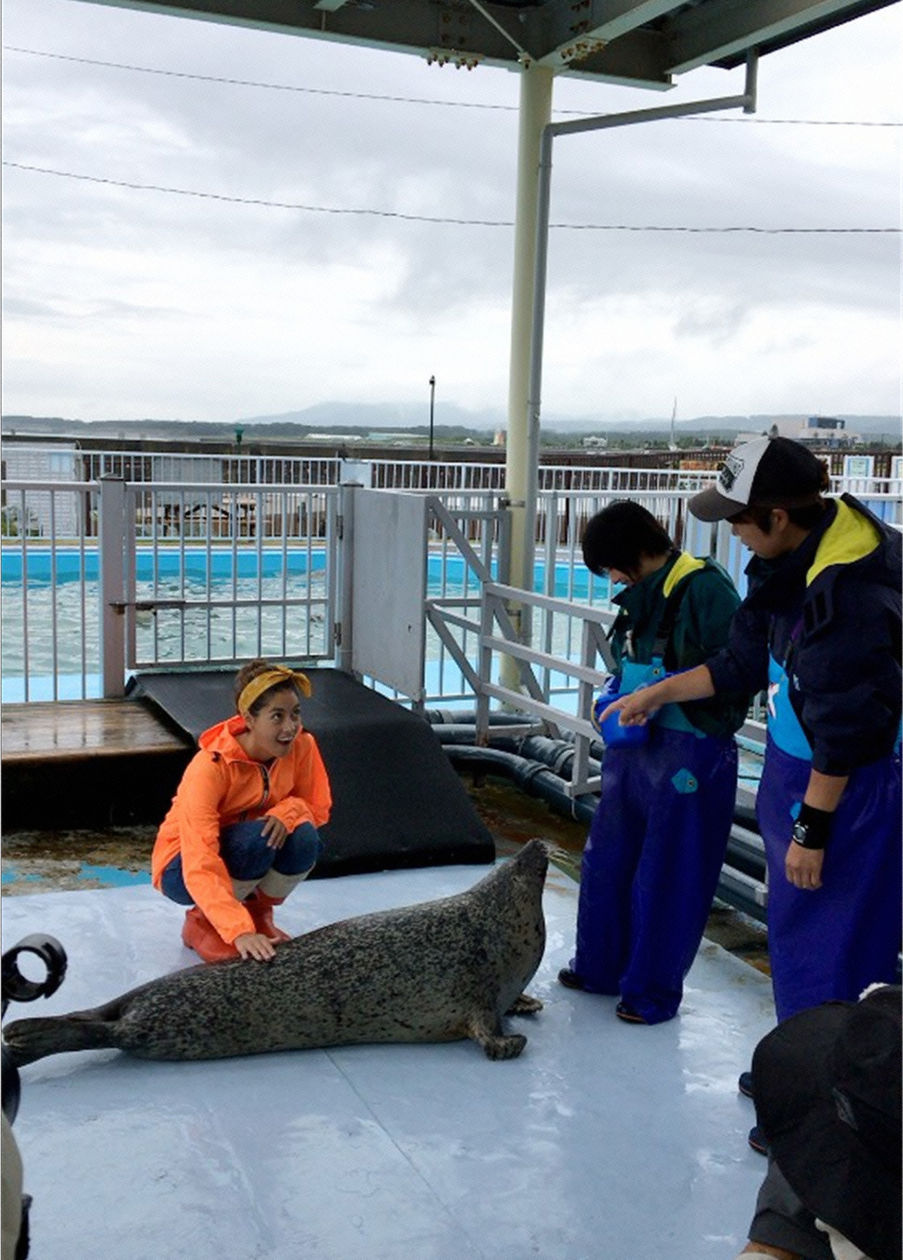 竹内涼真が捨て犬ゼロ部に 山田涼介は犬派 猫派 天才 志村どうぶつ園 Cinemacafe Net