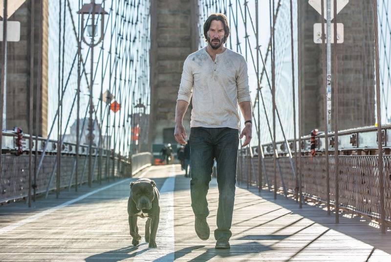 愛犬なしでは成り立たない 新たな相棒との絆 ジョン ウィック パラベラム 映像 Cinemacafe Net