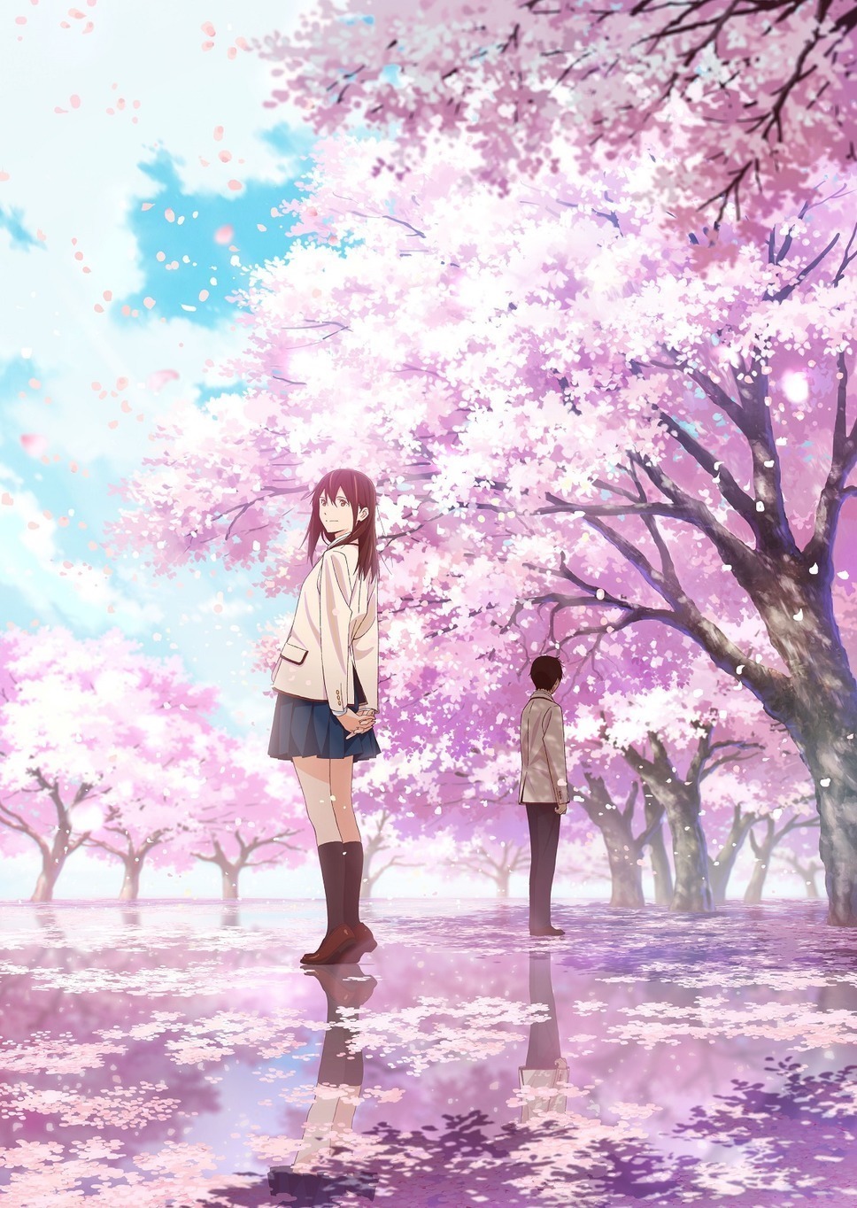 高杉真宙が 僕 に Sumika主題歌にも注目 劇場アニメ 君の膵臓をたべたい 放送 Cinemacafe Net