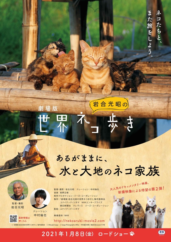 中村倫也がナレーションを担当 劇場版第2弾 岩合光昭の世界ネコ歩き 公開 Cinemacafe Net