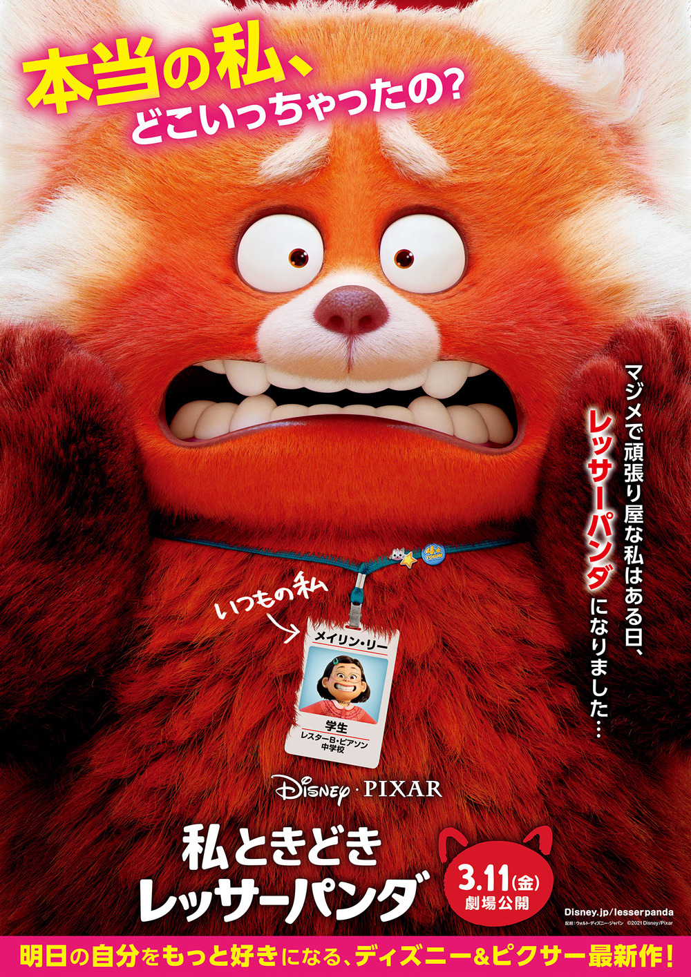 突然もふもふに変身 ディズニー ピクサー最新作 私ときどきレッサーパンダ 3月公開 特報映像も Cinemacafe Net 突然もふもふに変身 ディズニー ピクサー最新作 私ときどきレッサーパンダ 3月公開 特報映像も Cinemacafe Net
