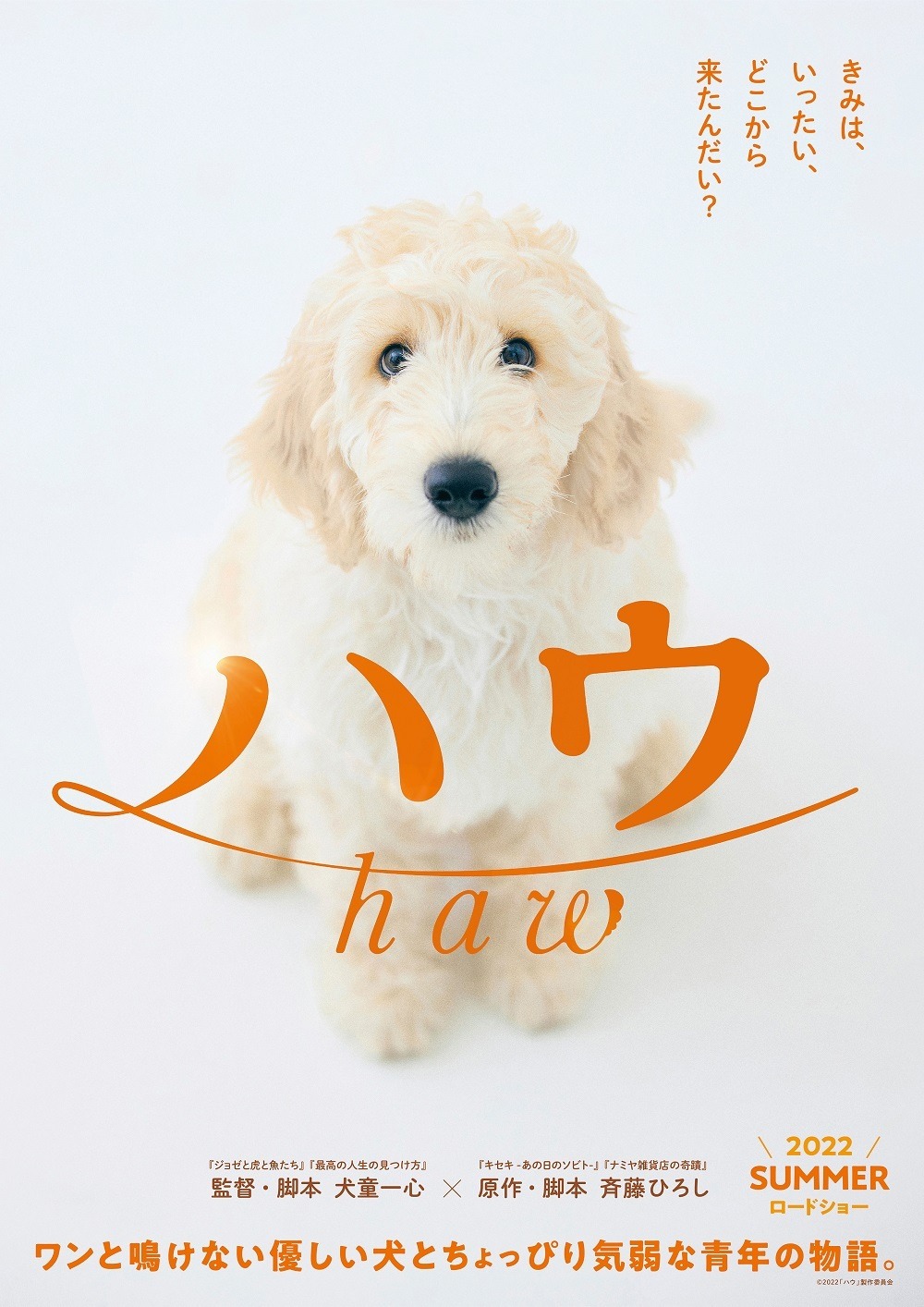 犬童一心監督 犬と青年の絆を描く ハウ 公開 超特報映像も Cinemacafe Net