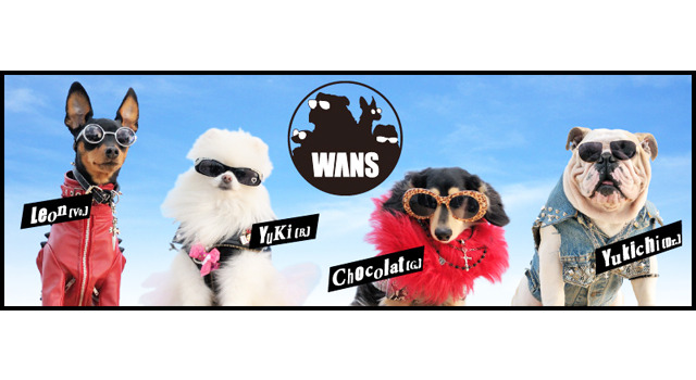 遅咲きの ロッ犬ロール バンド Wans 雑誌 いぬのきもち 新cmでデビュー Cinemacafe Net