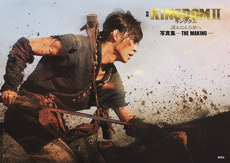 山崎賢人 清野菜名のインタビュー収録 キングダム2 ビジュアルドキュメント発売 写真先行公開 Cinemacafe Net