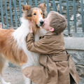 名犬ラッシー (2005) 3枚目の写真・画像