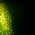 戦慄迷宮3D　THE SHOCK LABYRINTH 2枚目の写真・画像