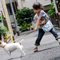 犬とあなたの物語 　いぬのえいが 6枚目の写真・画像