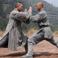 新少林寺／SHAOLIN 13枚目の写真・画像
