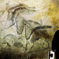 世界最古の洞窟壁画 35mm 忘れられた夢の記憶 2枚目の写真・画像