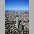 劇場版　東京スカイツリー　世界一のひみつ 2枚目の写真・画像
