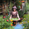 ベニシアさんの四季の庭 1枚目の写真・画像