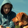 ホワイト・ゴッド　少女と犬の狂詩曲 2枚目の写真・画像