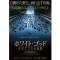 ホワイト・ゴッド　少女と犬の狂詩曲 6枚目の写真・画像