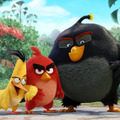 アングリーバード 1枚目の写真・画像