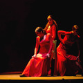 パッション・フラメンコ 3枚目の写真・画像