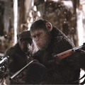 猿の惑星：聖戦記（グレート・ウォー） 3枚目の写真・画像