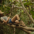ジャングルの掟 4枚目の写真・画像
