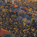 乱世備忘 僕らの雨傘運動 8枚目の写真・画像