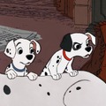 101匹わんちゃん(C)APOLLO