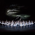 英国ロイヤル・オペラ・ハウス シネマシーズン 2017／18　ロイヤル・バレエ「白鳥の湖」 2枚目の写真・画像