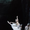 英国ロイヤル・オペラ・ハウス シネマシーズン 2017／18　ロイヤル・バレエ「白鳥の湖」 3枚目の写真・画像