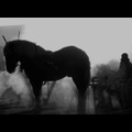 馬ありて 2枚目の写真・画像