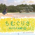 ちむぐりさ 菜の花の沖縄日記 1枚目の写真・画像
