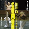 相撲道～サムライを継ぐ者たち～ 1枚目の写真・画像