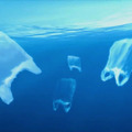 プラスチックの海 16枚目の写真・画像