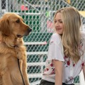 エンツォ レーサーになりたかった犬とある家族の物語 3枚目の写真・画像