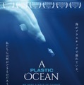 プラスチックの海 1枚目の写真・画像
