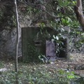 夜明け前のうた ～消された沖縄の障害者～ 3枚目の写真・画像