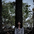 P-047 1枚目の写真・画像