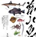 茲山魚譜-チャサンオボ- 5枚目の写真・画像
