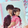 【Netflix映画】桜のような僕の恋人 1枚目の写真・画像