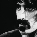 ZAPPA 7枚目の写真・画像