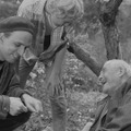 イングマール・ベルイマン︓1957年 4枚目の写真・画像