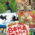 日本列島生きもの超伝説　劇場版ダーウィンが来た！ 1枚目の写真・画像