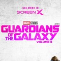 ガーディアンズ・オブ・ギャラクシー： VOLUME 3 28枚目の写真・画像