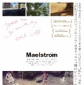 Maelstrom マエルストロム 1枚目の写真・画像