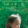 ミツバチと私 1枚目の写真・画像
